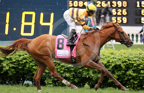 wisedan88_cg