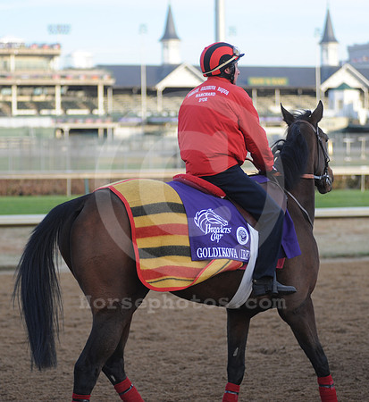 goldikova36_hr