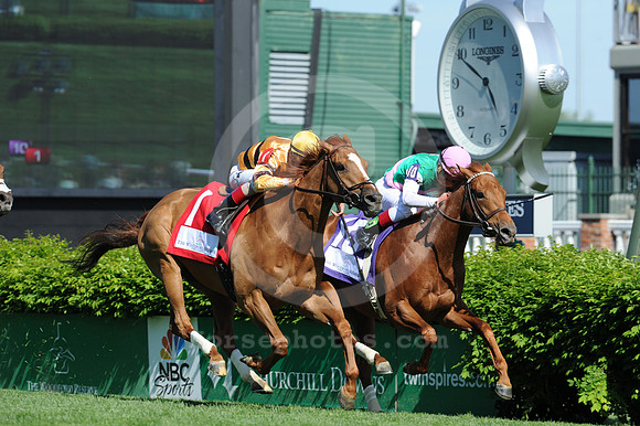 wisedan113_jn