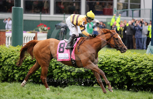 wisedan87_cg