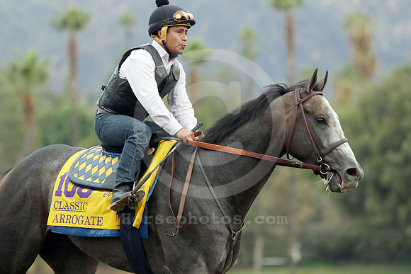 arrogate32_cg