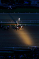 pusanracecourse10_tm