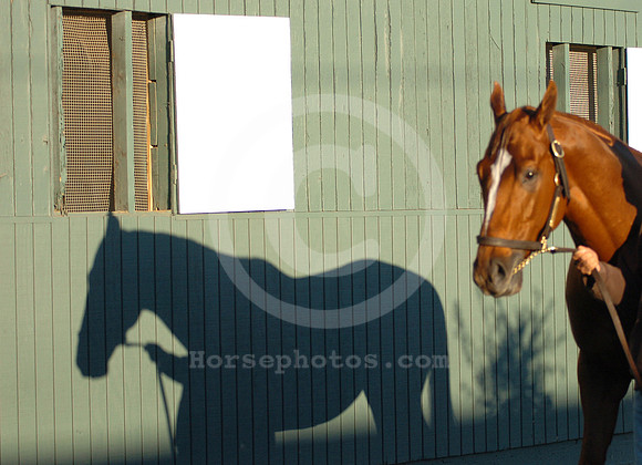 curlin_582_hr