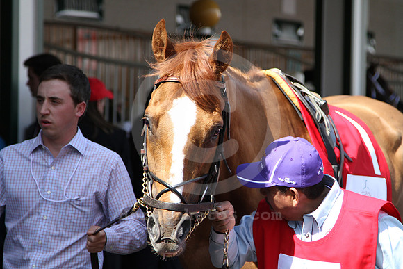 wisedan119_cg