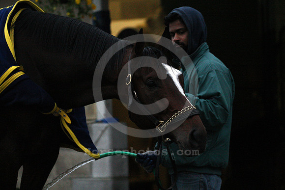 tonalist57_cg