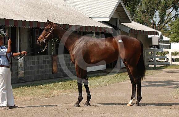 kee09_03hip939C_jd