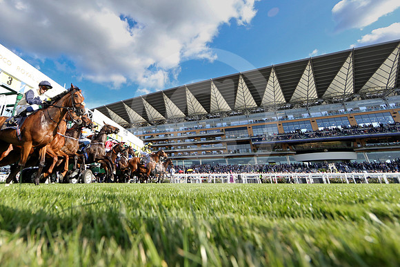 250617D605ROYAL_ASCOT