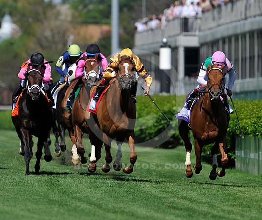 wisedan111_ljp