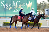 230222C920RIAD