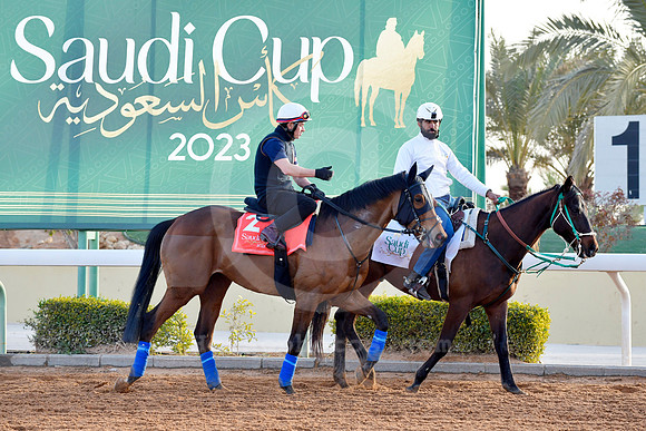 230222C920RIAD