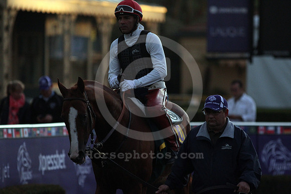 californiachrome354_cg