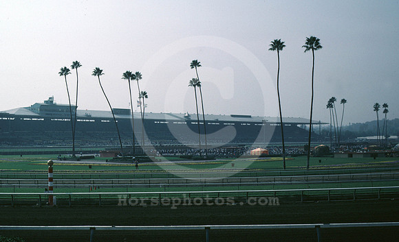 bc86santaanita01