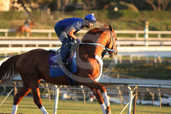 curlin588_ev