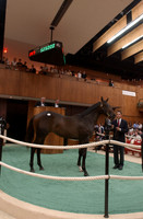 f.t.sar03hip147.550,000_jd