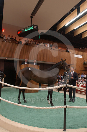 f.t.sar03hip147.550,000_jd
