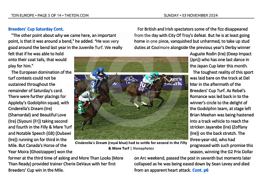 TDN 2024-11-04 at 9.08.22 AM (2)