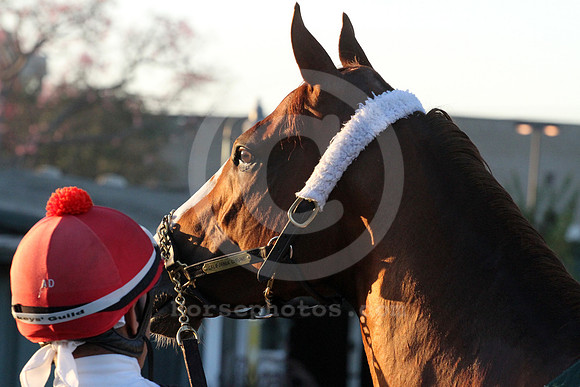 californiachrome371_cg