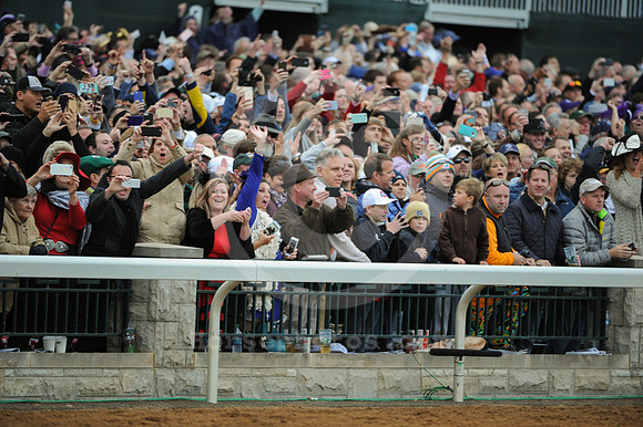 bc15fans01_bn