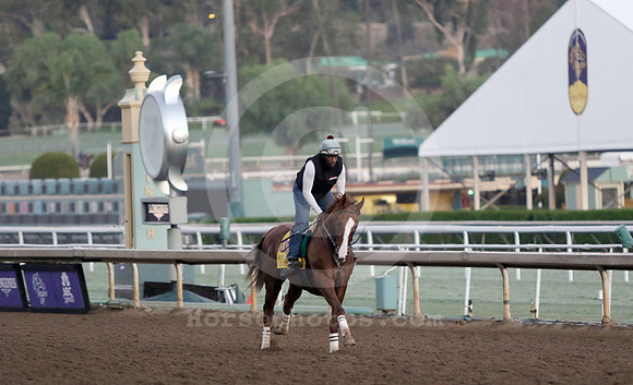 californiachrome589_cg
