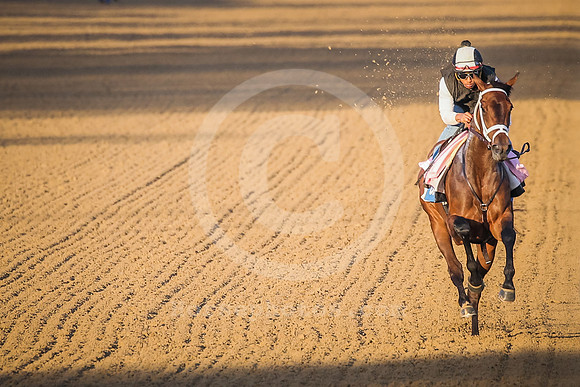 hiddenconnection02_rn