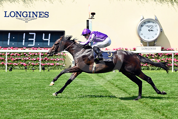 250617D586ROYAL_ASCOT