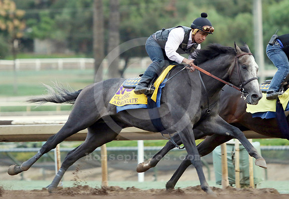 arrogate30_cg