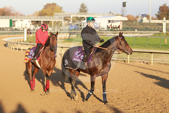 behkabad_goldikova01_nh