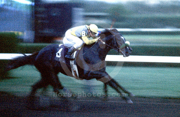 sunday silence2