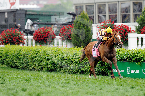 wisedan78_jn