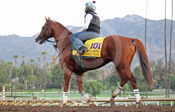 californiachrome590_ljp