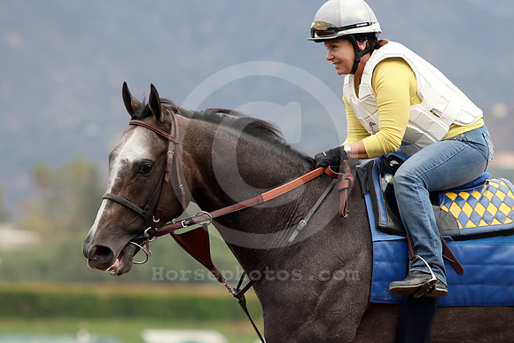 arrogate27_cg