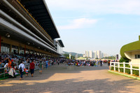 pusanracecourse09_tm