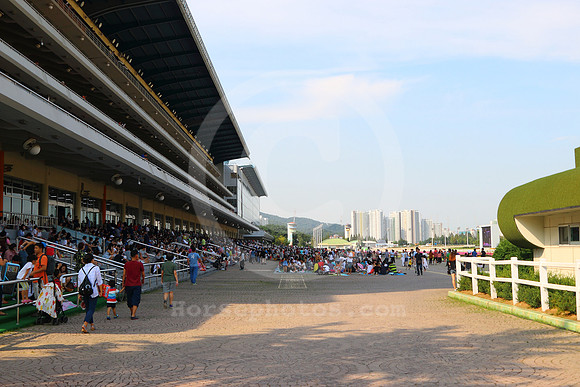 pusanracecourse09_tm