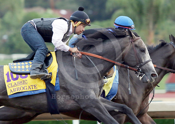arrogate31_cg