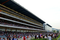 pusanracecourse08_tm