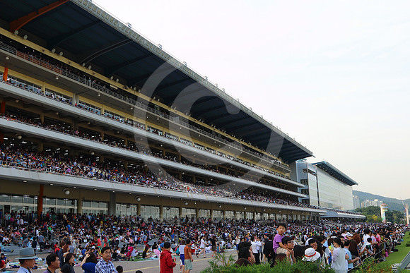pusanracecourse08_tm