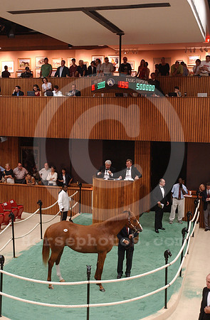 f.t.sar03hip195$500,000_jd