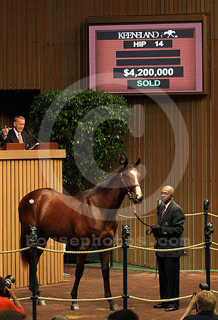 Hip14Kee0910