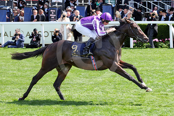 250617D585ROYAL_ASCOT
