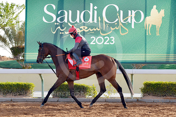 230222C949RIAD