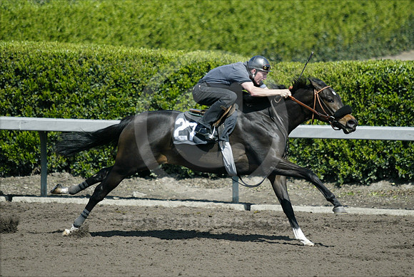 hip27_barretts05_ljp
