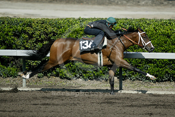 hip134_barretts05_ljp