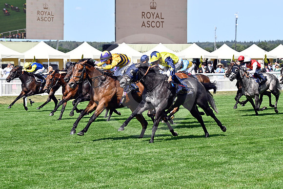 250617D526ROYAL_ASCOT