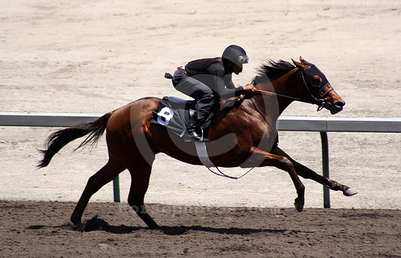 barretts05.12_hip8_02_cg