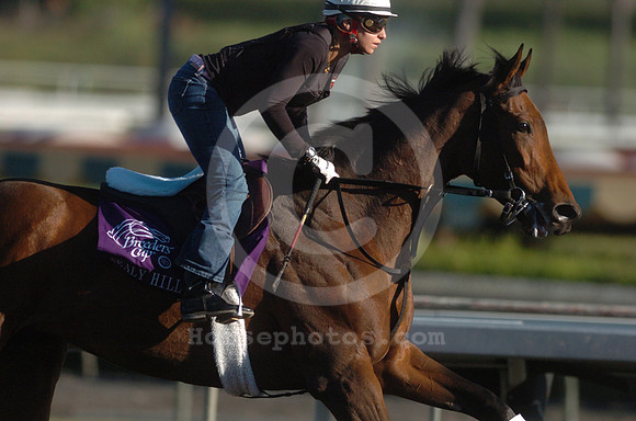 sealyhill02_hr