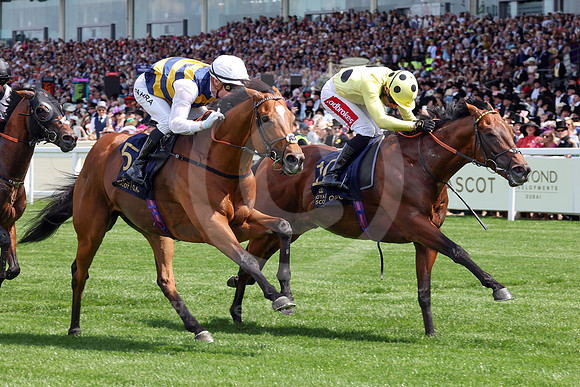 250617D509ROYAL_ASCOT