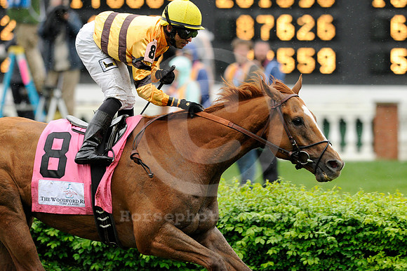 wisedan80_jn