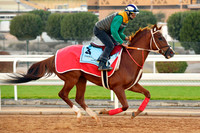 230222C903RIAD
