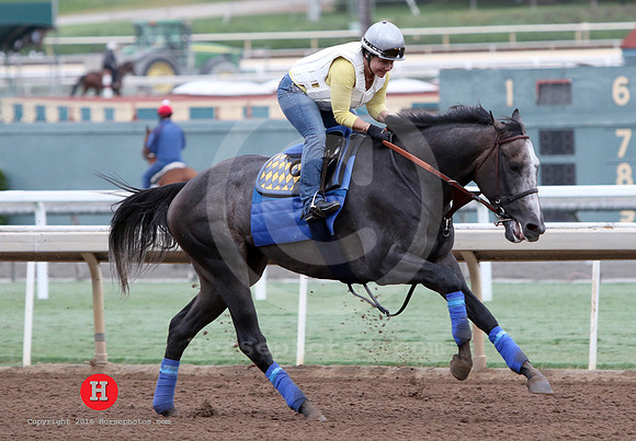 arrogate26aa_cg