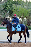 230222C906RIAD